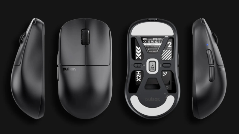 Pulsar X2H: The aggressive claw king