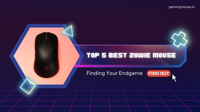 Finding Your Endgame: A Deep Dive Into The Top 5 Best Zowie Mouse Models For 2025