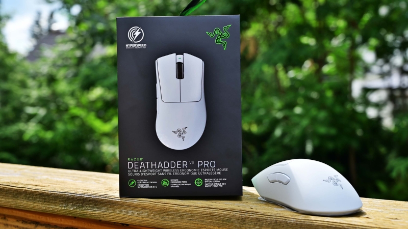Razer Deathadder V2 / V3 - The ergonomic icon